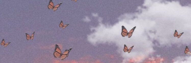 lsanttt's profile banner image