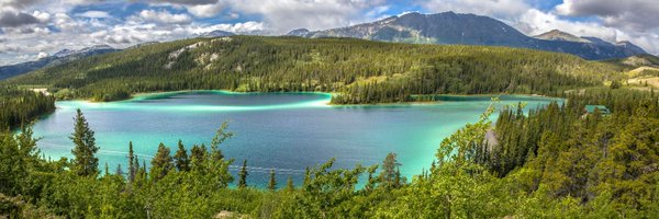 CEOTechnician Profile Banner