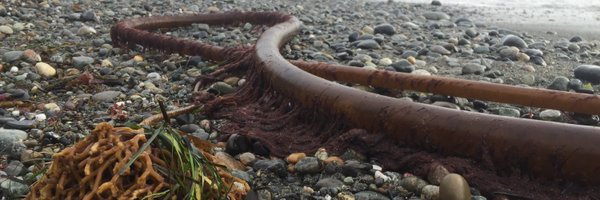 h2_Lo Profile Banner