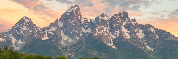 MsDendinger Profile Banner