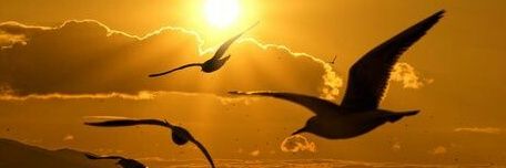 GMRROBLEDO's profile banner image