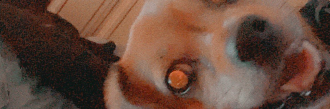 RaiDayy's profile banner image