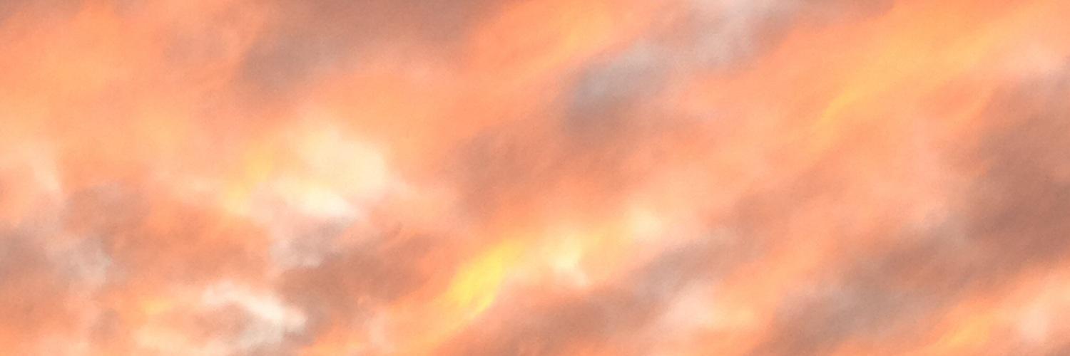 lillyAnneRose8's profile banner image