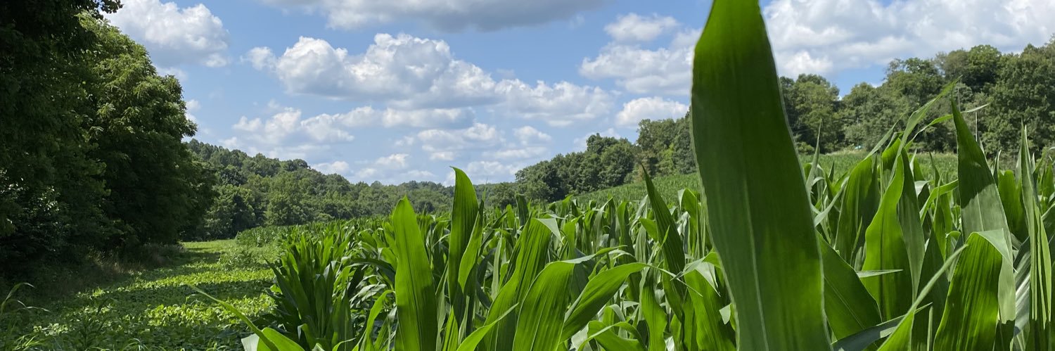 NKlonowski's profile banner image