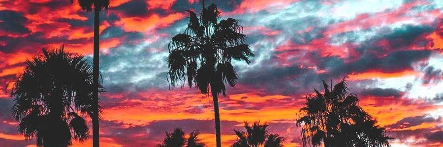 Eric_moran96's profile banner image