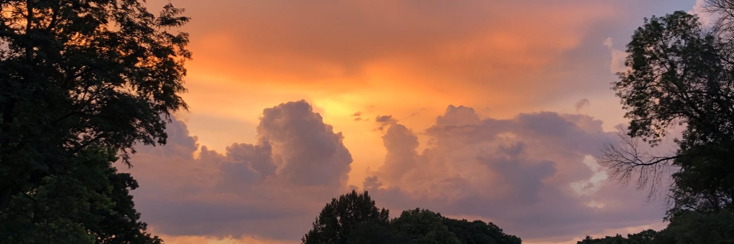 hannahrossi34's profile banner image