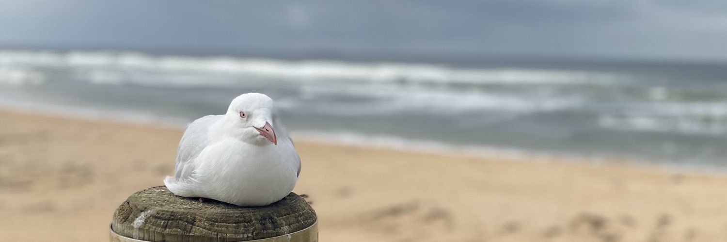 CassyBain's profile banner image