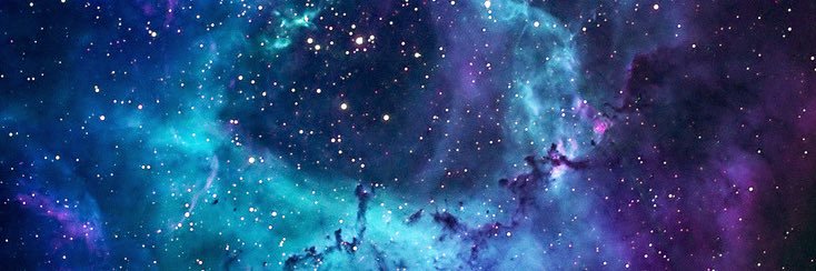 CryptidWolfe's profile banner image