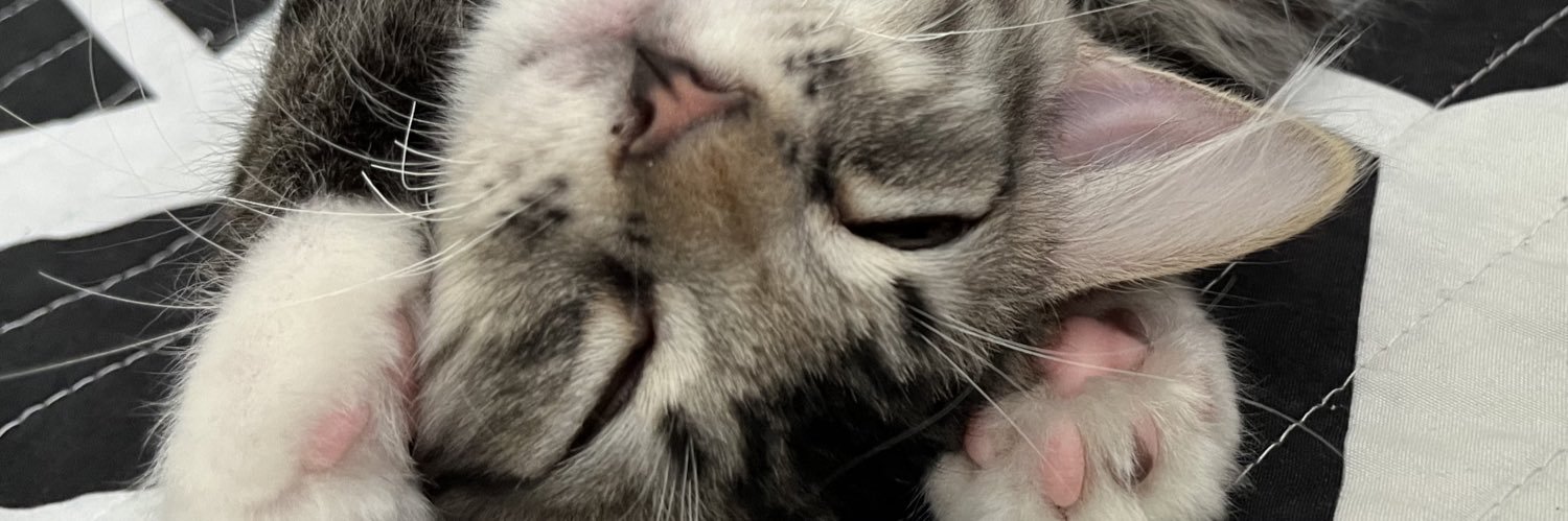 emilllypham's profile banner image