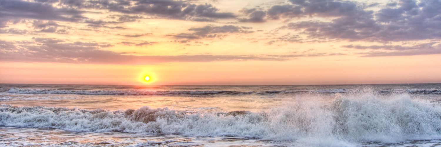 deana_soni's profile banner image
