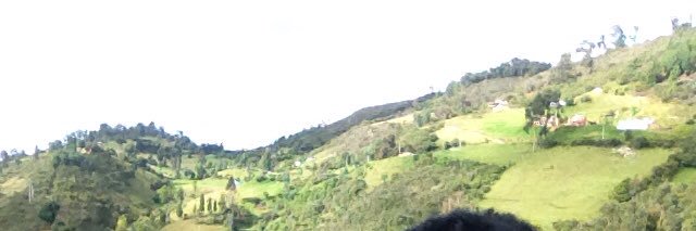 Rocío Rada banner