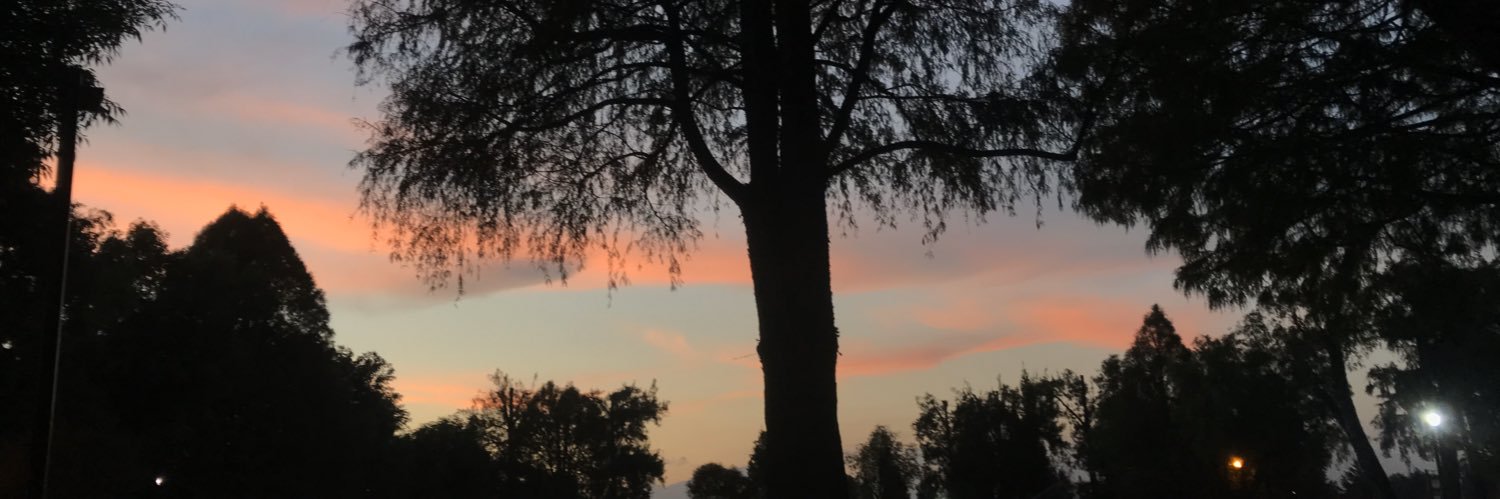 brizzethab's profile banner image