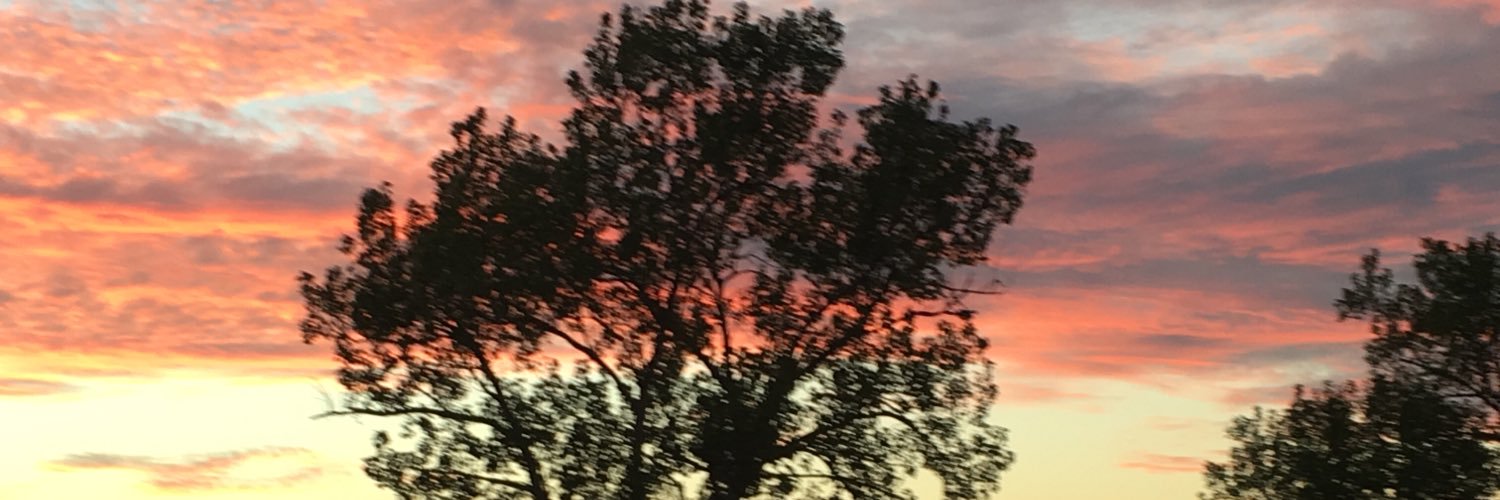 tcsteele65's profile banner image