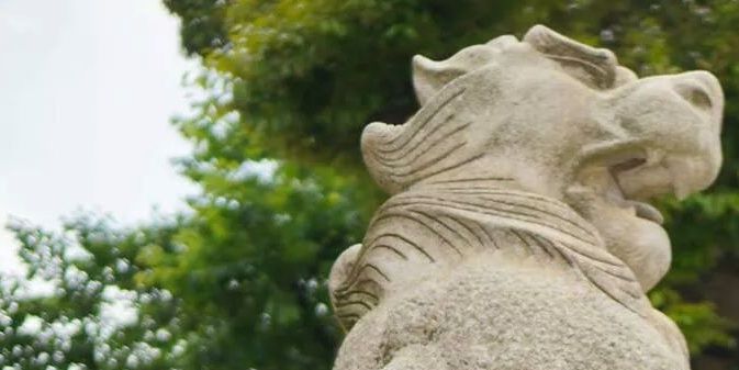 Steeve Spatafora banner