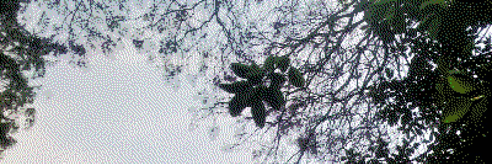icedark1999's profile banner image