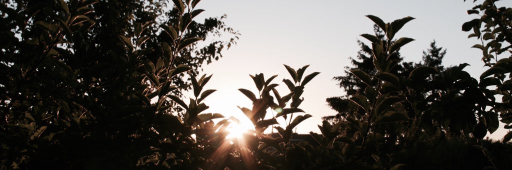 Em_Ellifritz's profile banner image