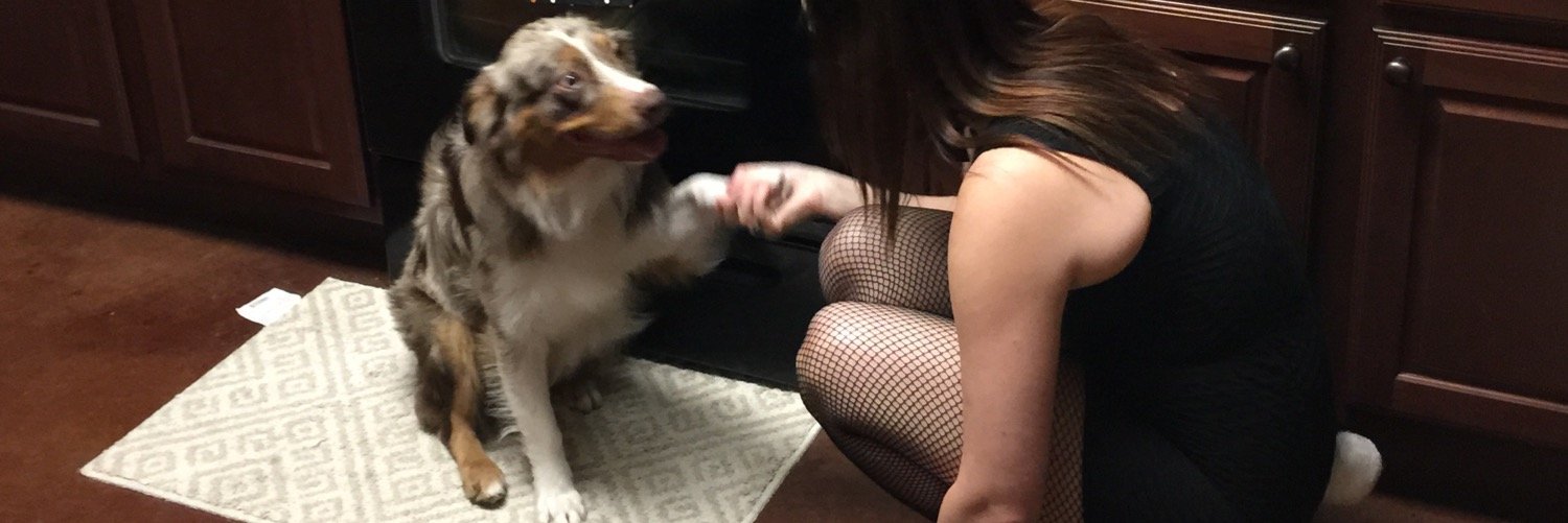buddytheaussie7's profile banner image