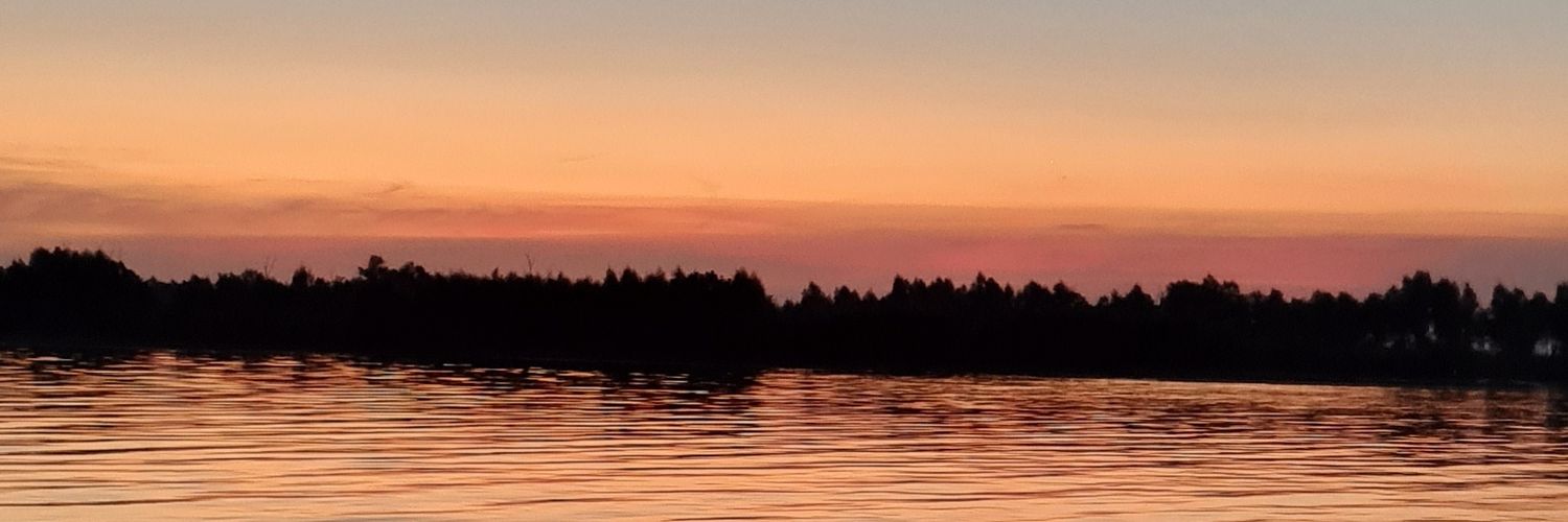 hernanbarone313's profile banner image