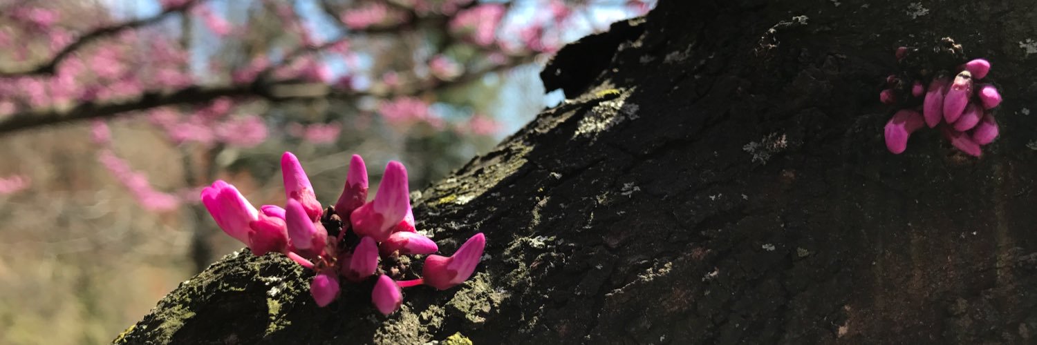 JillHunger's profile banner image
