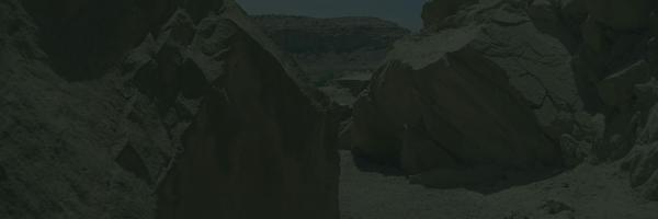 netripy Profile Banner