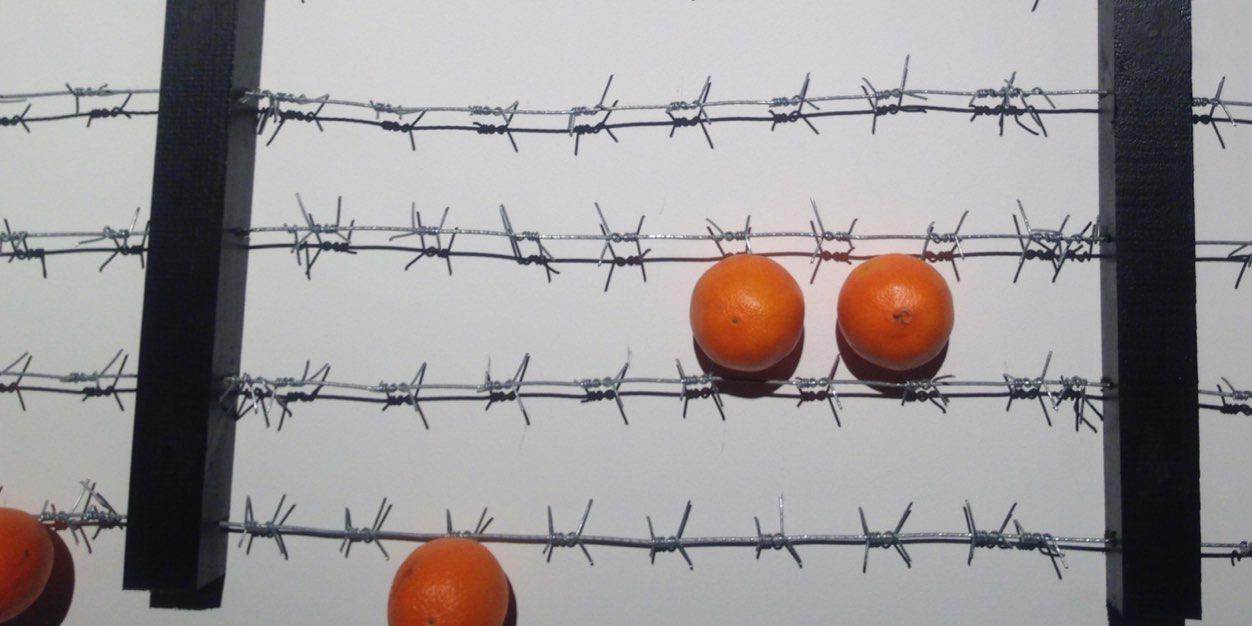 сологуб banner