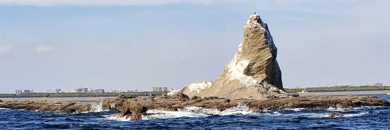 おぼちゃん banner