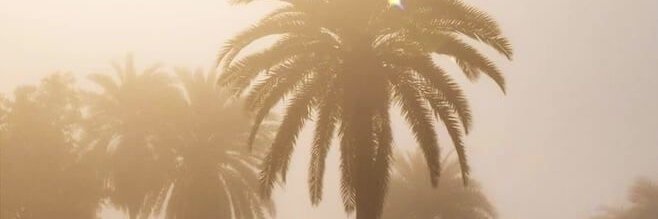 rix (use code wendell in fortnite #ad) banner