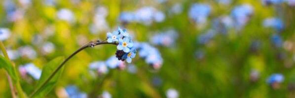 LH90_b's profile banner image