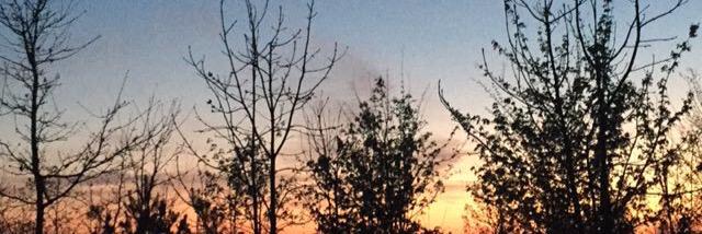 alice tait-harris banner