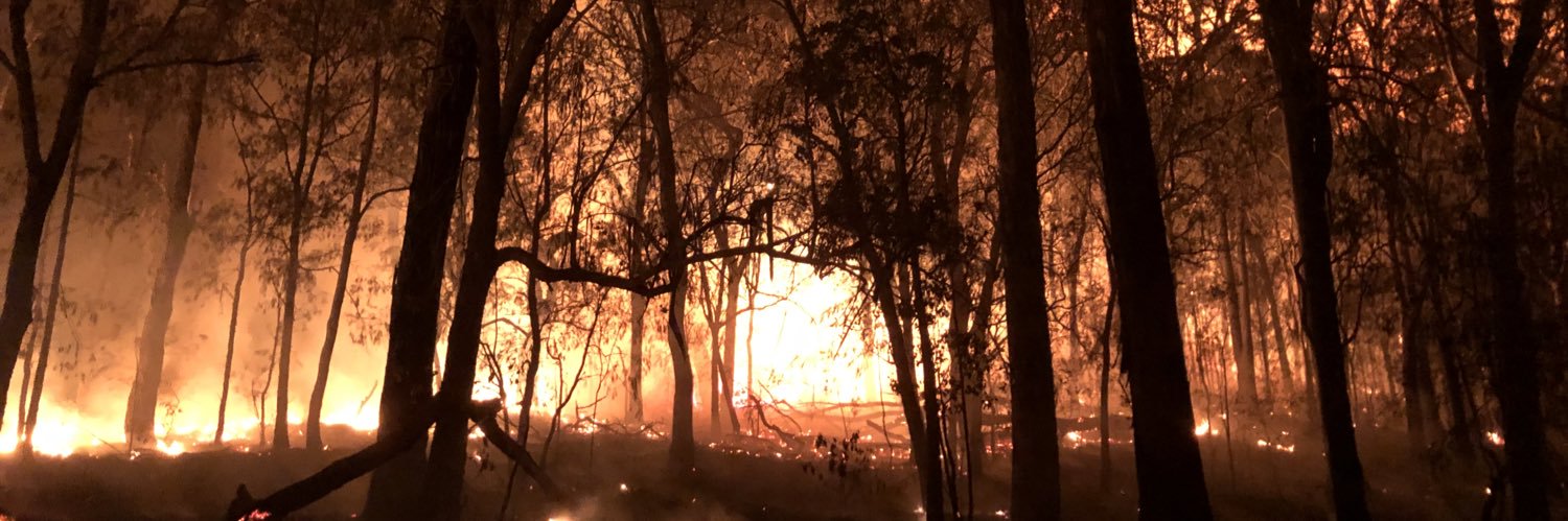 Rowena Morris banner