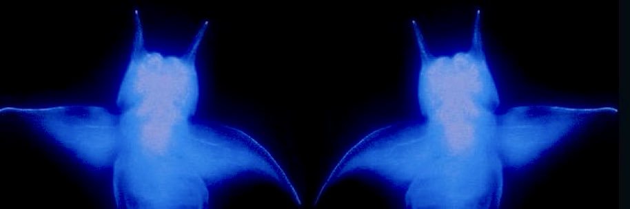breakthemirror's profile banner image