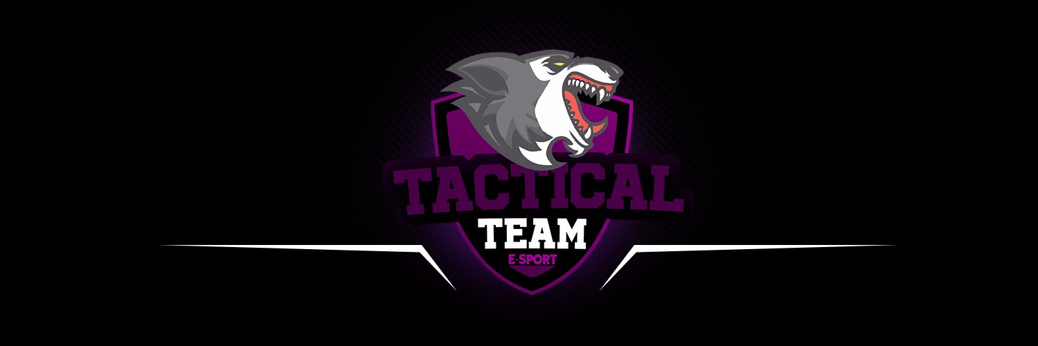 TacticalTeam e-Sport banner