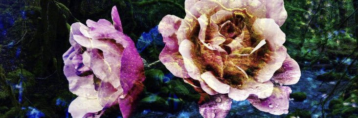 MadeleineBesson's profile banner image