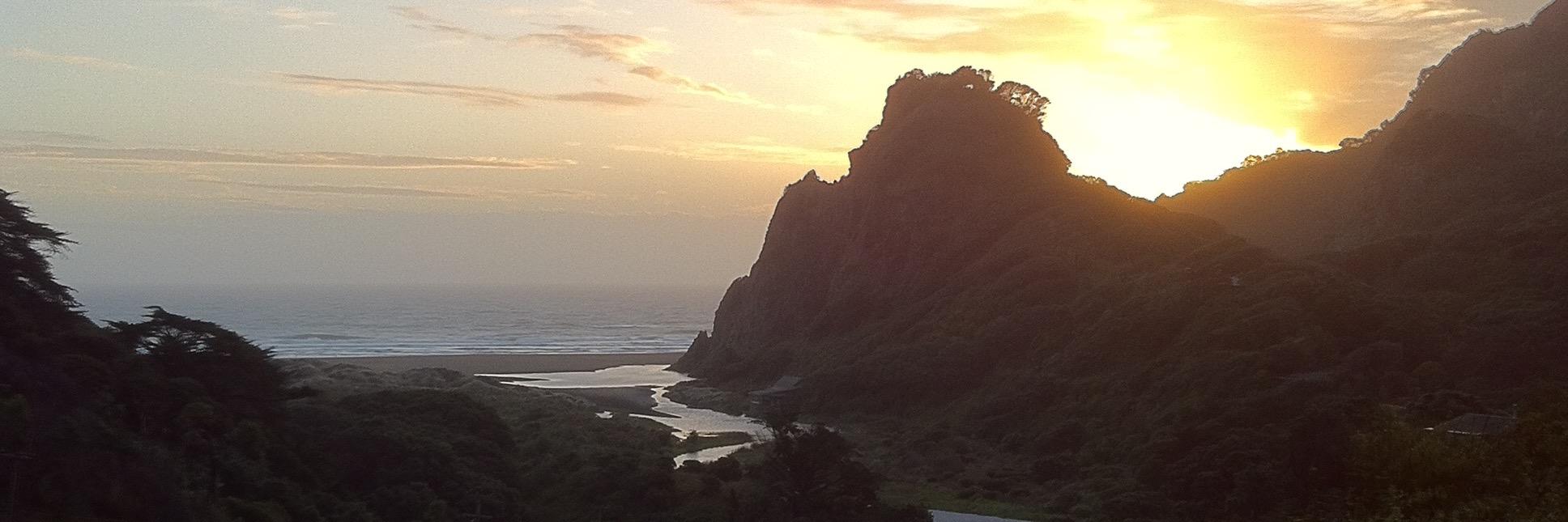 Alex McFarlane banner