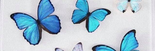 amywk_'s profile banner image