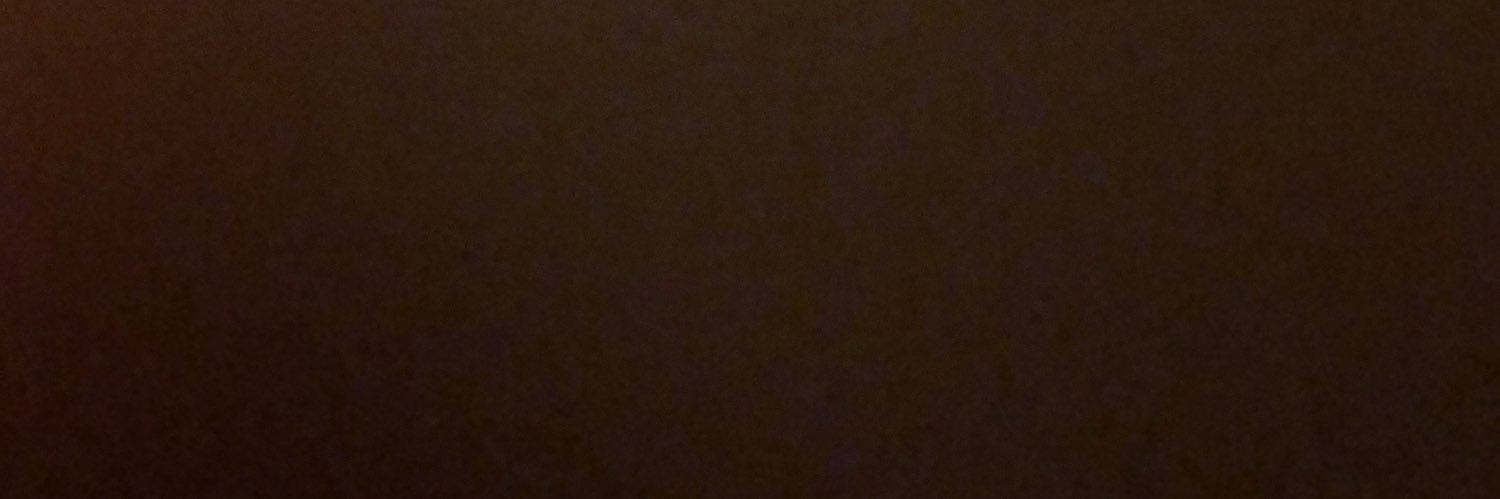 layinglowww's profile banner image