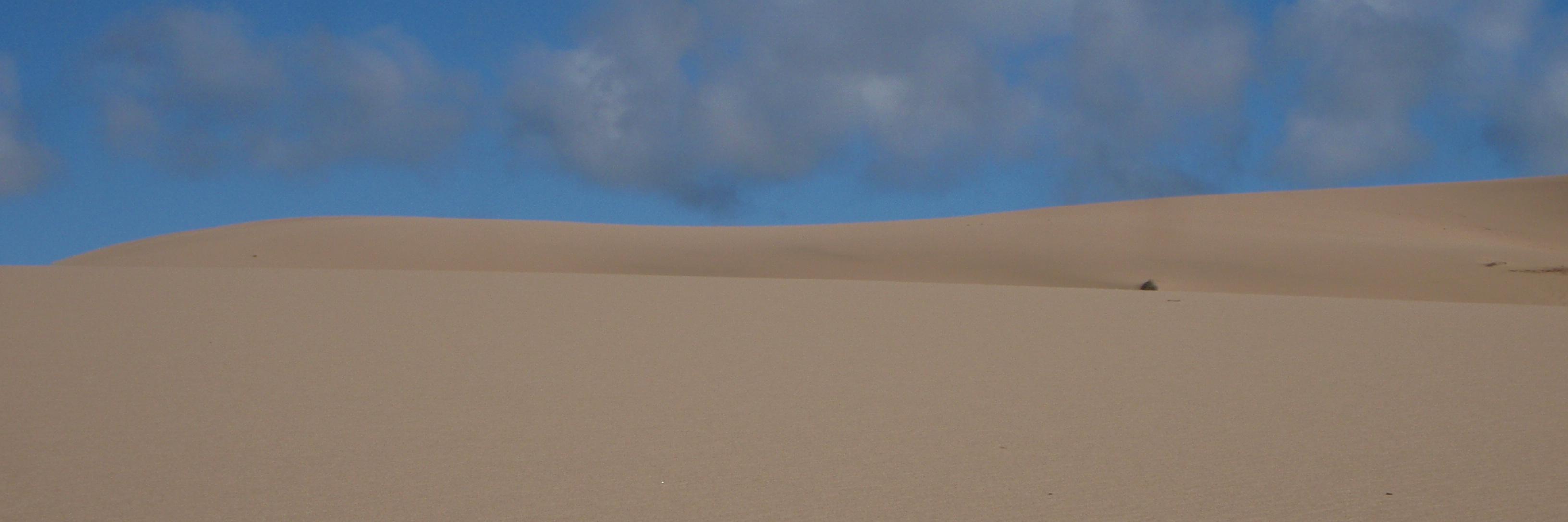 mike_malaska's profile banner image