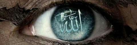 AliHabesoglu's profile banner image