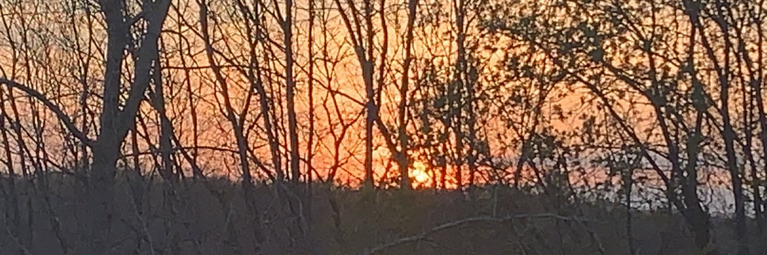 💞MeyHive💙HarryPrincessMeghanArchieLili💙🇺🇸 banner