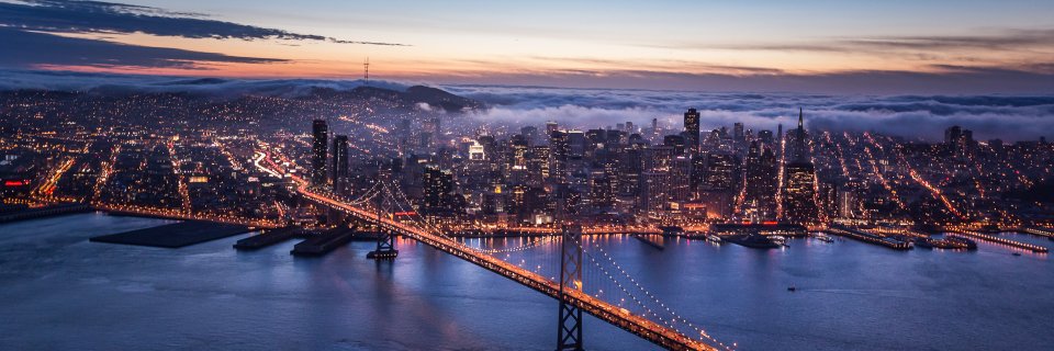 Vanessa Royle banner