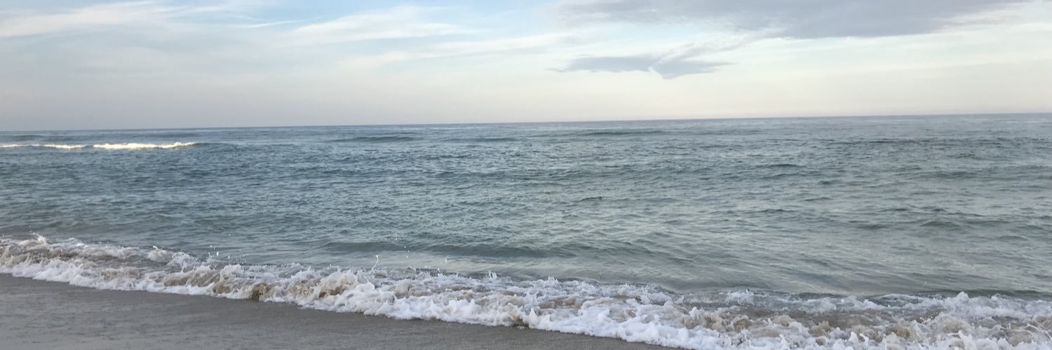 shellpeachro's profile banner image