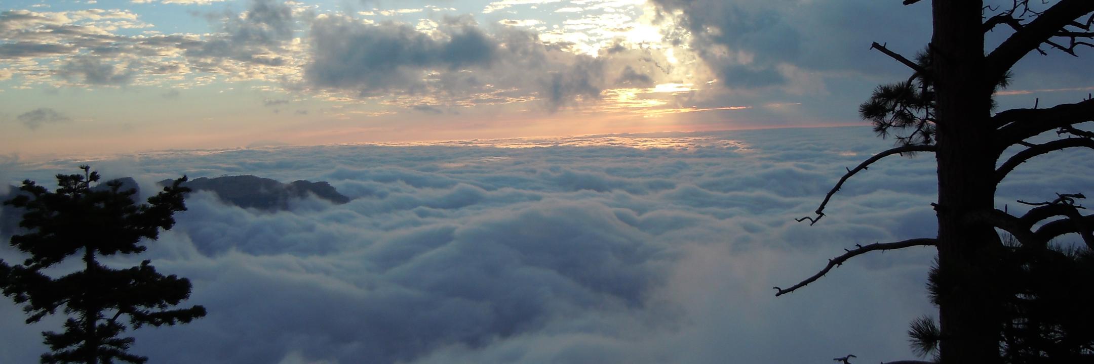 Todd A. Jobson, Sr banner