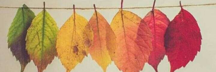 Sandeep1ara's profile banner image