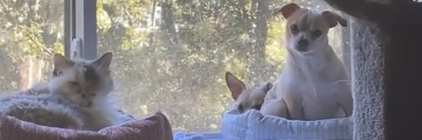 lmleeMinki's profile banner image