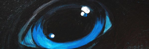 screenwriter80's profile banner image