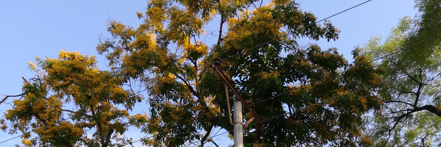 bu_aung's profile banner image