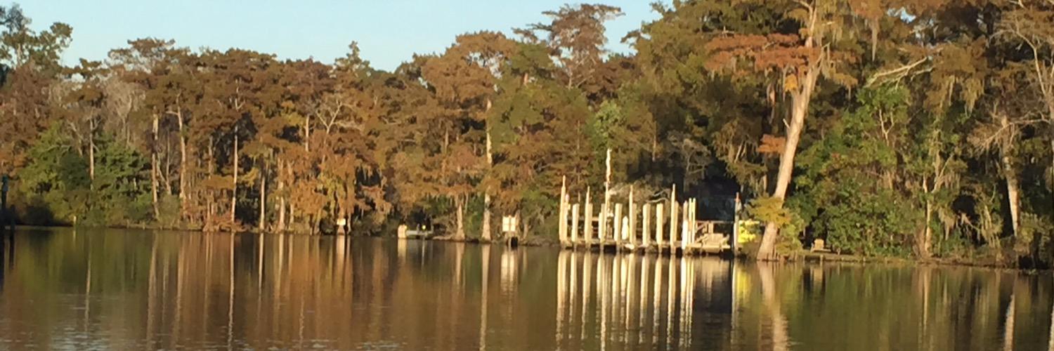 Rykert Toledano banner