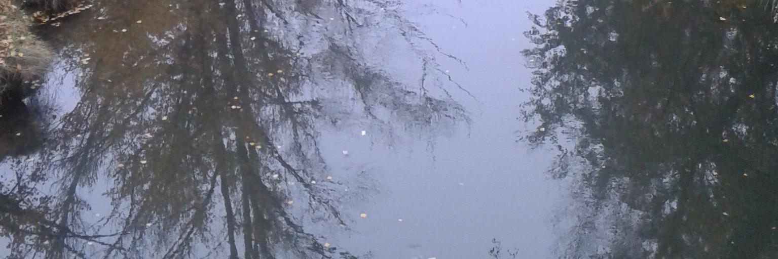 dianabt58's profile banner image