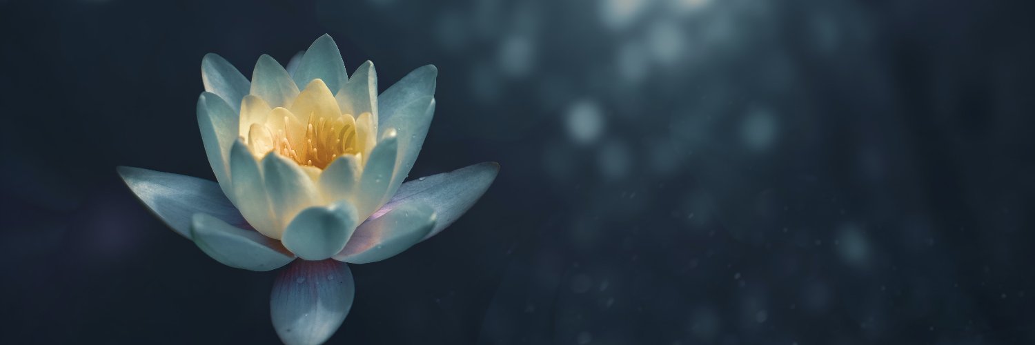 cryptoafrica's profile banner image
