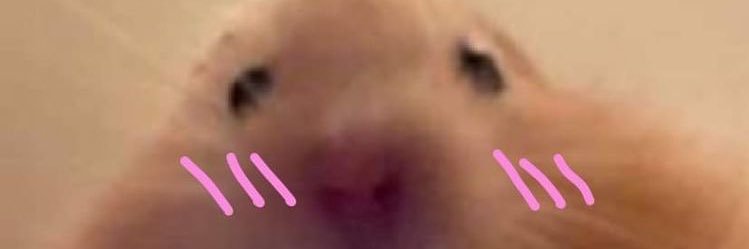 _jnmrie's profile banner image